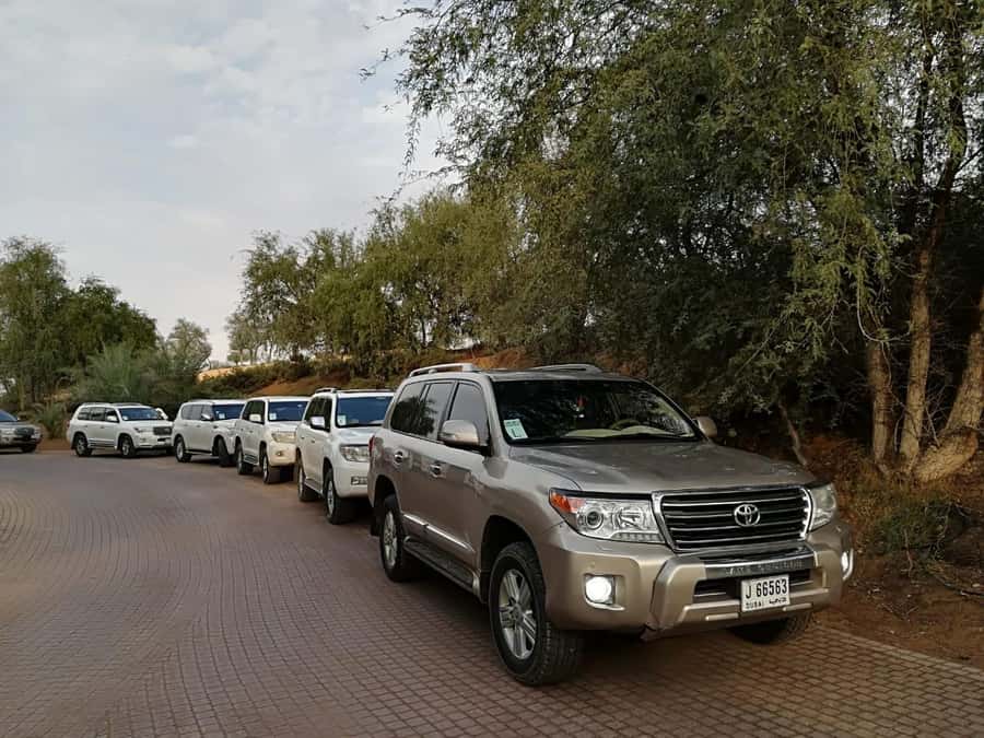 Morning Desert Safari in Ras Al Khaimah - Practical tips for a smoother morning