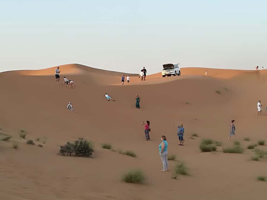 Morning Desert Safari in Ras Al Khaimah - The 45-minute dune drive is the main event