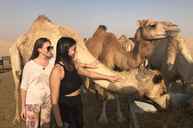 Morning Desert Safari with Camel Ride & Sand Skiing Private Tours - A Four-Hour Start in the Al Khatim Desert