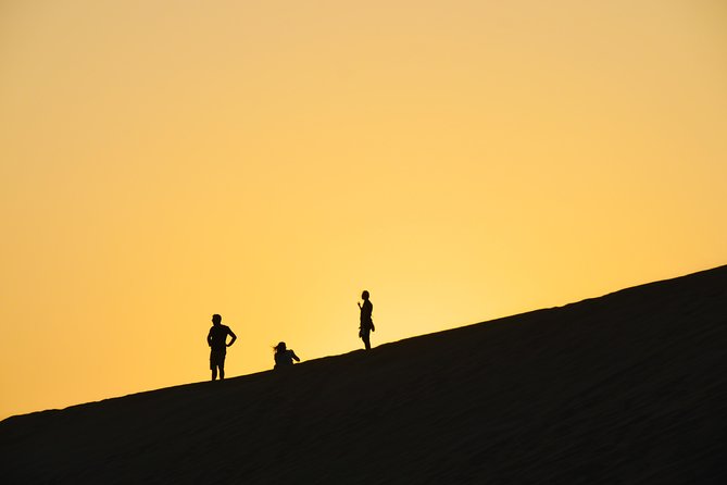Morning Desert Safari with Camel Ride & Sand Skiing Private Tours - Camel Farm Visit and a Brief Ride