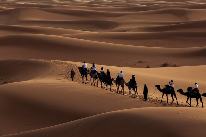 Morning Desert Safari with Dune Bashing and Sand Boarding - Quick points to know before booking