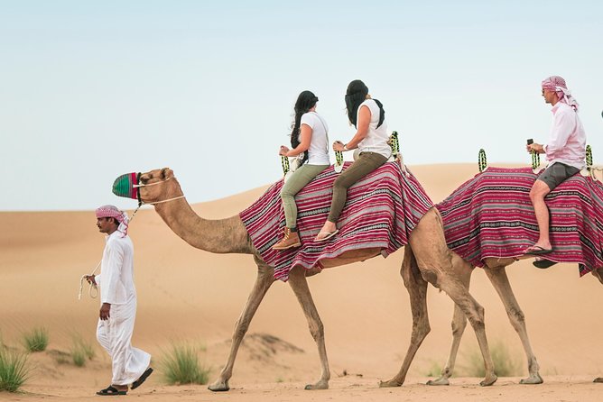 Morning Desert Safari with Dune Bashing and Sand Boarding - Forty-five minutes of dune bashing