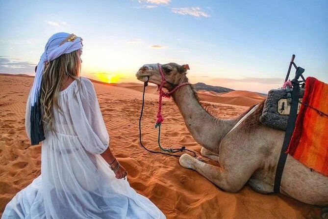 Morning Desert Safari with Quad Bike, Camel Ride & Sandboarding - What your $59 covers in the desert