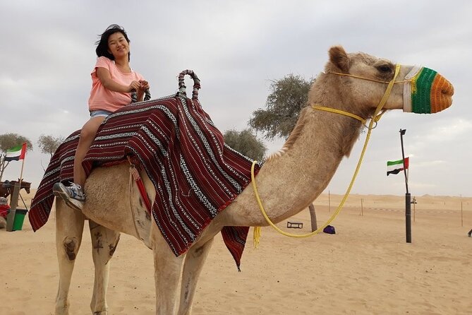 Morning Dubai desert safari - camel rides, quad bikes, dune buggies,dune bashing - Hotel pickup and the ride beyond the city
