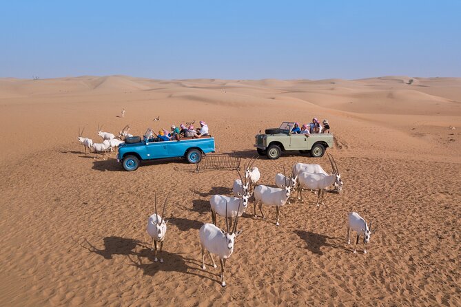 Morning Falconry & Nature Desert Safari with Transfers from Dubai - Who will enjoy this most