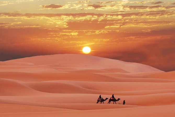 Morning Red Dunes Safari: Camel Ride & Sandboarding Adventure - Sandboarding on the red dunes