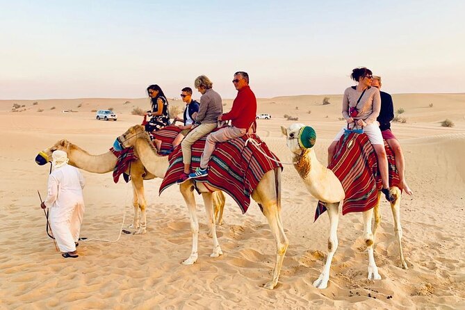 Morning Red Dunes Safari: Camel Ride & Sandboarding Adventure - A short camel ride with a traditional touch