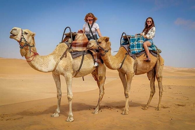 Morning Thrill: Exciting Desert Safari Adventure Camel Ride Dubai - Red Dunes and the Main Dune-Bashing Ride