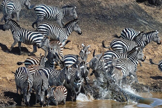 Multi-Day Camping Safari Experience in Arusha - Camping, food, and the pop-up roof jeep