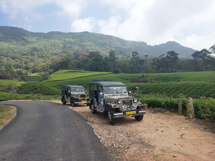 Munnar: Anakulam Jeep Safari with Waterfall and Elephant - Key points to know before booking