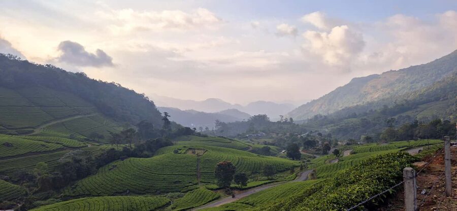 Munnar: Anakulam Jeep Safari with Waterfall and Elephant - The strongest reasons to book