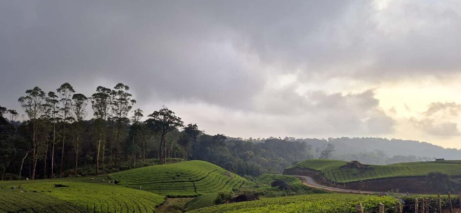 Munnar: Anakulam Jeep Safari with Waterfall and Elephant - Anakulam Waterfalls and the river crossing