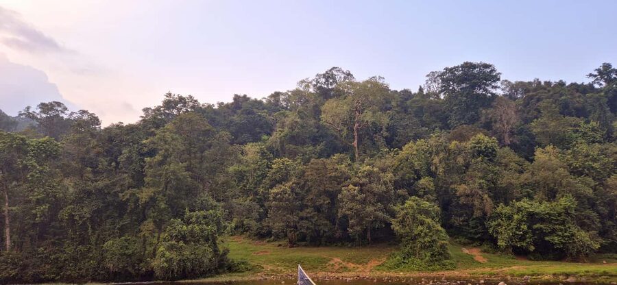 Munnar: Anakulam Jeep Safari with Waterfall and Elephant - Waiting for elephants at Anakulam