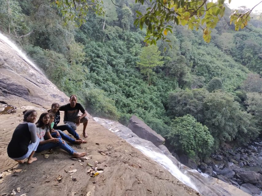 Munnar: Tea Garden and Elephant Safari Trip by 4x4 - Key Points Before You Book