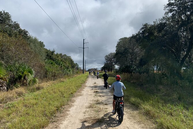 Myakka State Park E-bike Safari - The Myakka Canopy Walkway reaches into the treetops