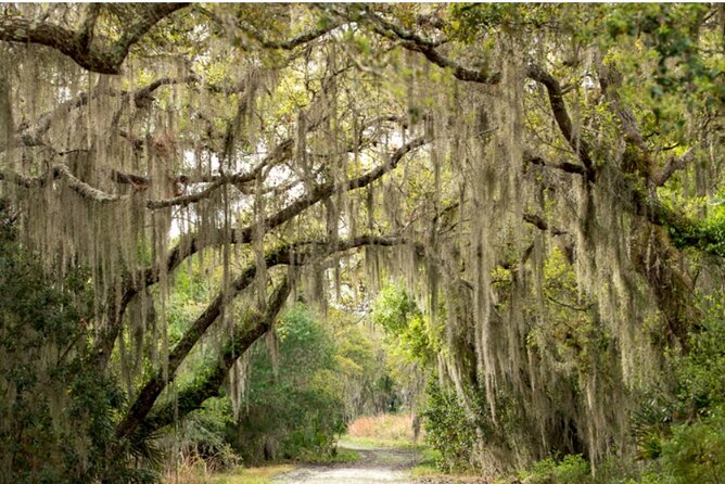 Myakka State Park E-bike Safari - Two hours through wetlands, prairies, and hammocks