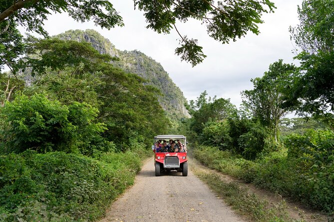 Naihehe Cave Safari in Sigatoka with BBQ Lunch - Entering Naihehe Cave with a local guide