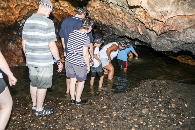 Naihehe Cave Safari in Sigatoka with BBQ Lunch - What the guides add to the experience