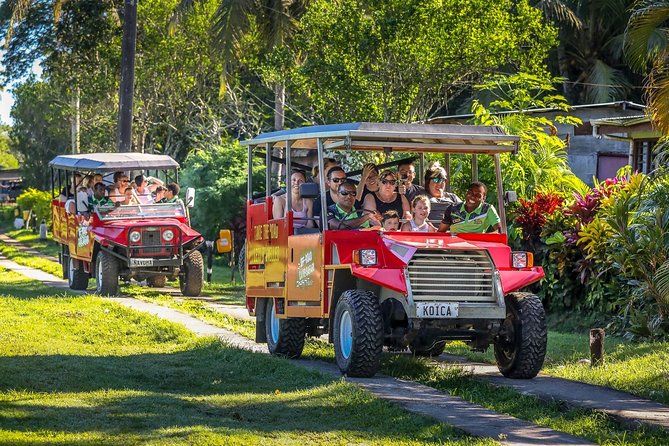 Naihehe Cave Safari in Sigatoka with BBQ Lunch - Who should book this cave safari?