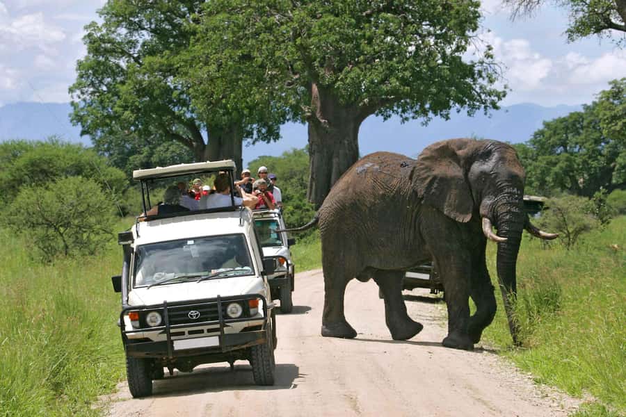 Nairobi: 4-Day Maasai Mara & Lake Nakuru Camping Safari - Nairobi to the Great Rift Valley viewpoint