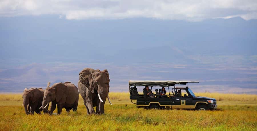 Nairobi: 4-Day Maasai Mara & Lake Nakuru Camping Safari - The full-day Mara drive and Mara River