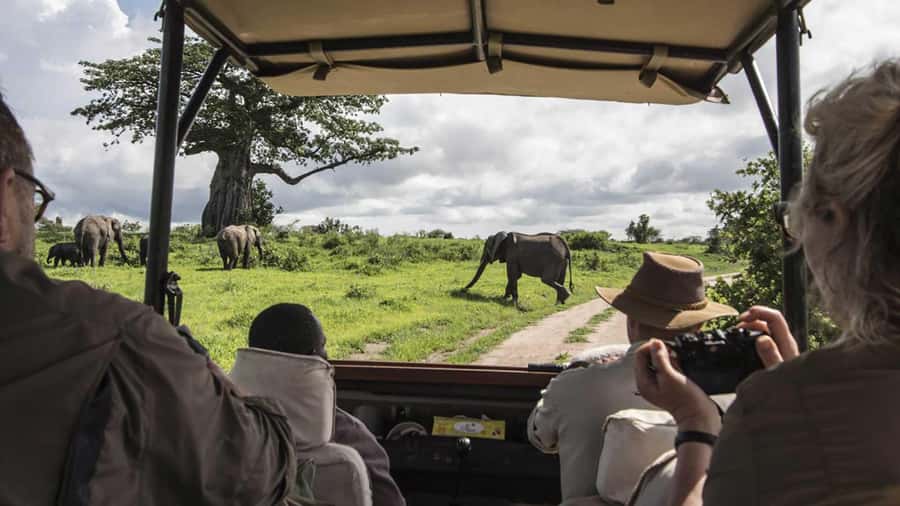 Nairobi: 4-Day Maasai Mara & Lake Nakuru Camping Safari - Lake Nakuru’s rhinos and flamingos