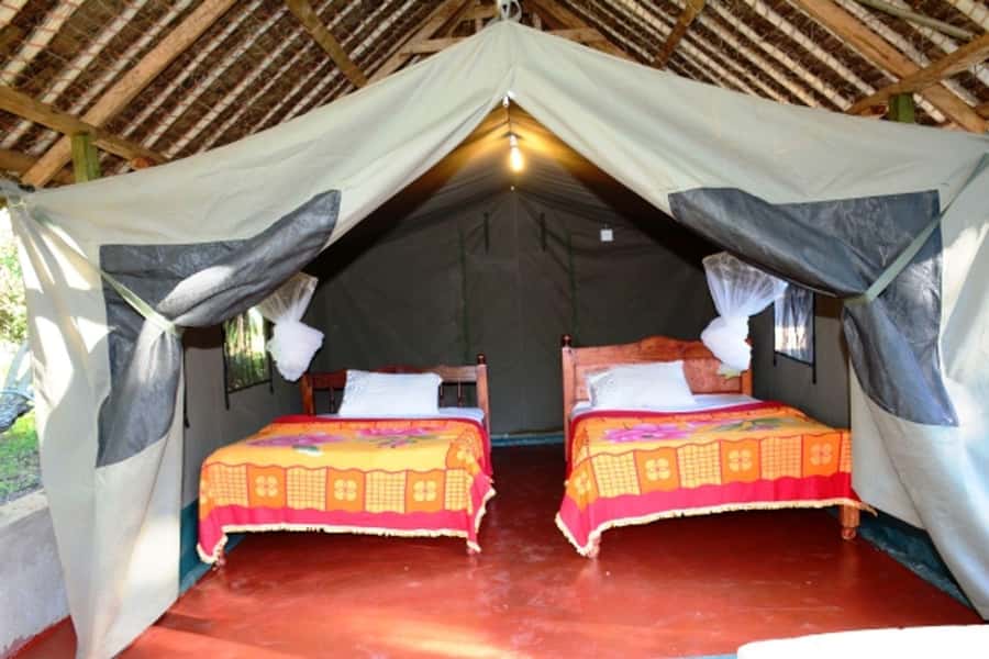 Nairobi: 4 Day Masai Mara and Lake Nakuru Camping Safari - Should you book this Maasai Mara and Lake Nakuru safari?