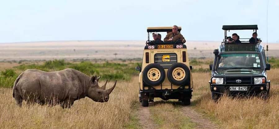 Nairobi: 4 Days Masai Mara & Lake Nakuru 4WD Camping Safari - Day 3: From the Mara to Lake Nakuru