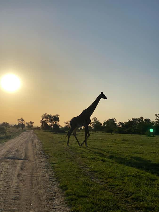 Nairobi: ATV/Quad Bike Wildlife Safari with Transfers & meal - From Nairobi to the open terrain of Machakos County