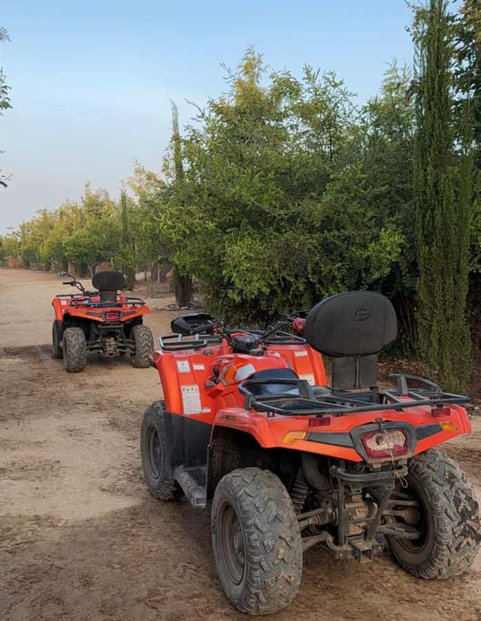 Nairobi: ATV/Quad Bike Wildlife Safari with Transfers & meal - Is $190 a fair price?