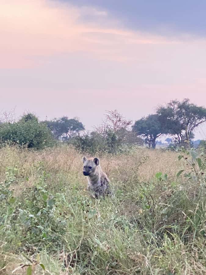 Nairobi: ATV/Quad Bike Wildlife Safari with Transfers & meal - Rain, dust, and what to pack
