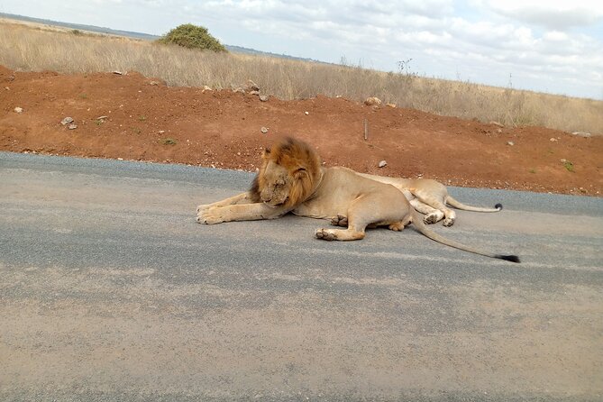 Nairobi National Park Safari With a Visit to Giraffe Center. - The coffee stop between the two attractions