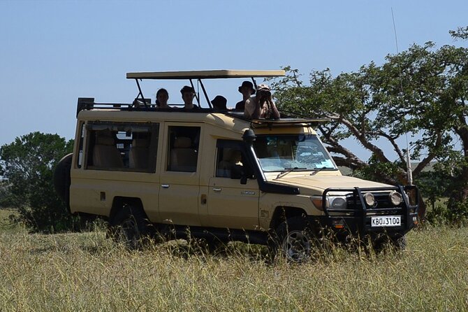Nairobi Park Wildlife Safari - Why Nairobi National Park works so well