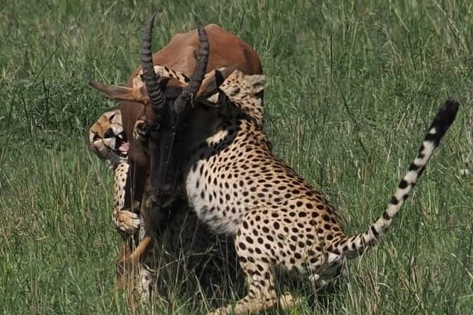 Nairobi Park Wildlife Safari - Walking trails and what they add