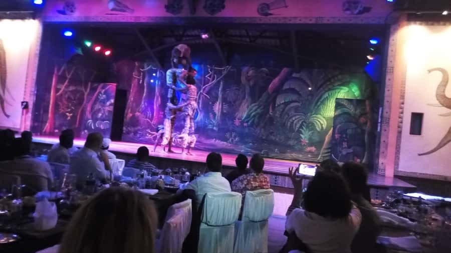 Nairobi: The Safari Cats Show Tickets & Buffet Dinner - Key points to know before booking