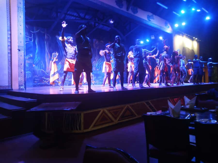 Nairobi: The Safari Cats Show Tickets & Buffet Dinner - Who will enjoy this evening most