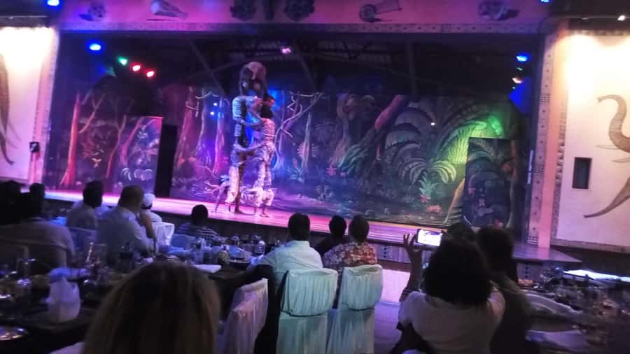 Nairobi: The Safari Cats Show Tickets & Buffet Dinner - Should you book the Safari Cats dinner show?