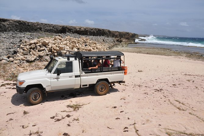 National Park Jeep Safari - Key points to know before booking