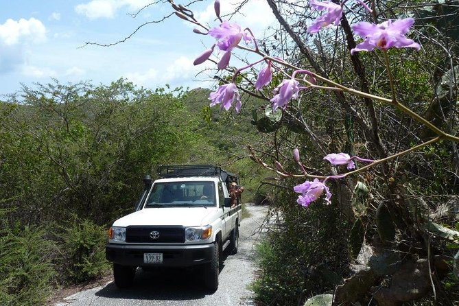 National Park Jeep Safari - Why this six-hour Jeep safari is worth considering