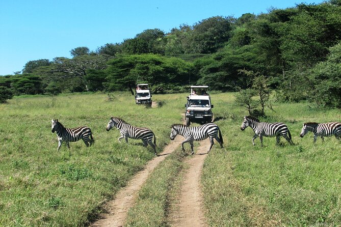Ngorongoro Crater Day Trip – Shared Group Safari - Lake Magadi and the Crater’s Birdlife