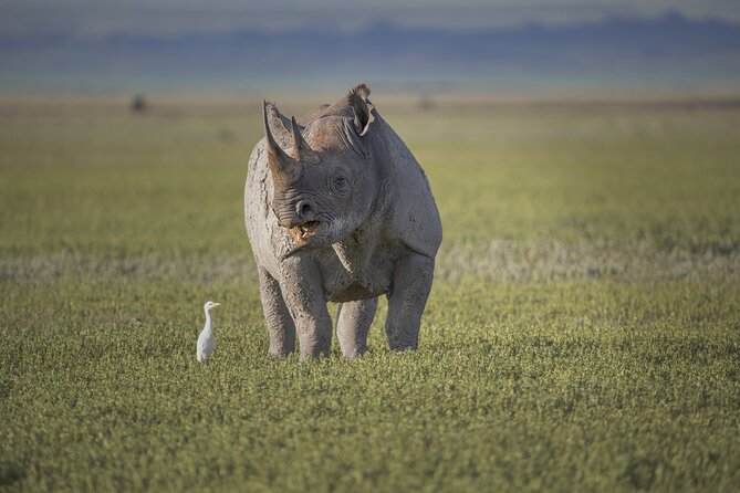 Ngorongoro Crater Day Trip – Shared Group Safari - Maasai Culture and the Wider Conservation Area