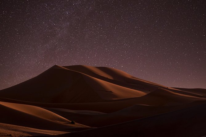 Night Desert Safari | Sand Boarding || Camel Ride || Inland Sea - The 4WD ride is where the excitement begins
