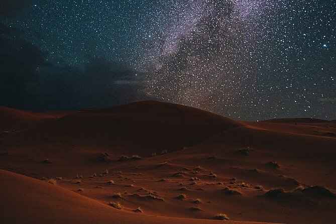 Night Desert Safari, Stargazing, Dune Driving & Inland Sea Visit - What the $62 price really covers