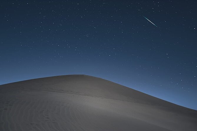 Night Desert Safari, Stargazing, Dune Driving & Inland Sea Visit - Who should book this night safari