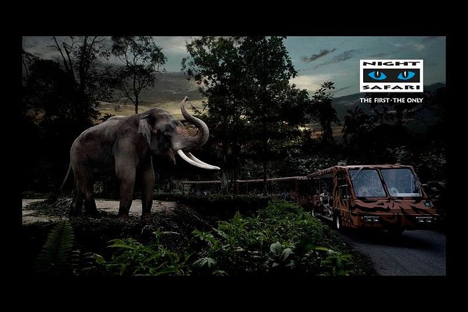 Night Safari Tour with Transfer - What the Singapore Night Safari actually feels like