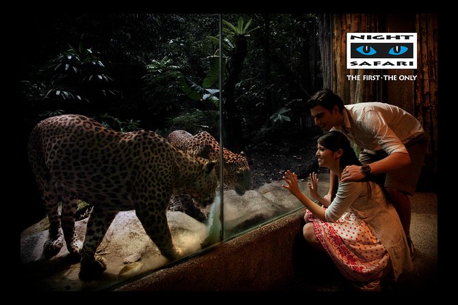 Night Safari Tour with Transfer - Shows add energy, but arrive early for a seat
