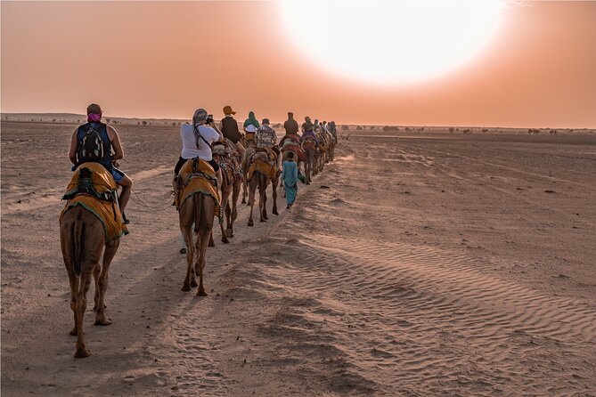 Nomadic Non-Touristic Overnight Camel & Desert Safari Tour - Meeting the camels and riding into the dunes
