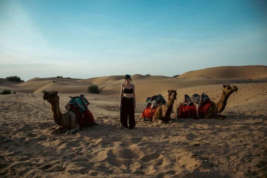 Nomadic Non-Touristic Overnight Camel & Desert Safari Tour - Dinner over a wood fire, with simple desert comforts