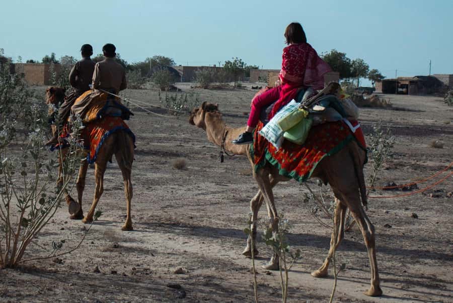 Nomadic Non-Touristic Overnight Camel & Desert Safari Tour - Sleeping beneath the Thar stars