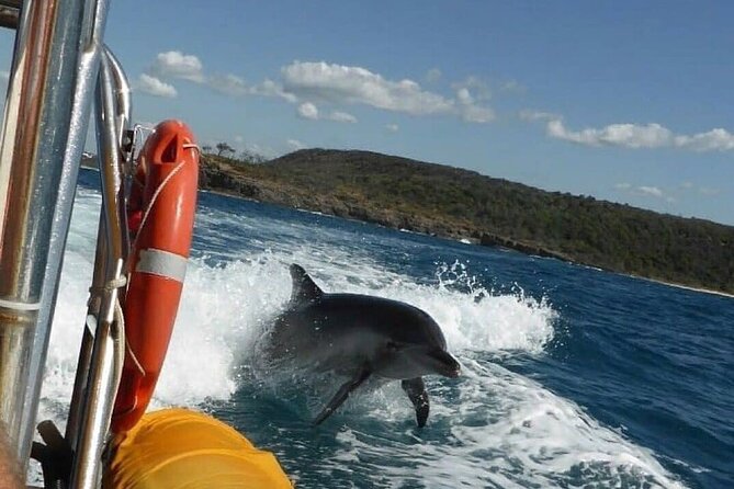 Noosa: Ocean Adventure & Dolphin Safari - Setting off from the Noosa Boathouse